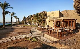 Dahab Paradise